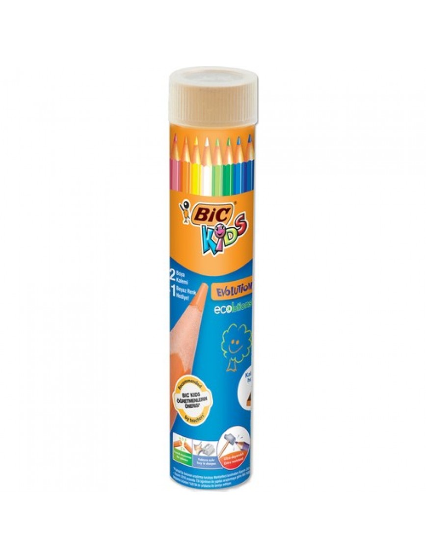 BIC KURU BOYA KALEMİ TÜP 12+1 RENK PSTL-958192
