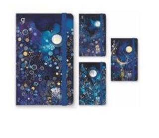 BLUE BOOK İP DİK. SERT KAPAK KAP DEF. 17X24 96 CİZ DÜZ GIPTA - 7413