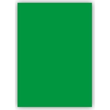 PUTİ FON KARTONU YEŞİL 50X70 CM 100 LÜ PK VİVA-2052